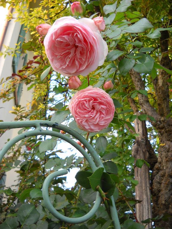 La Casa Del Giardiniere Villa Zero Branco Bagian luar foto